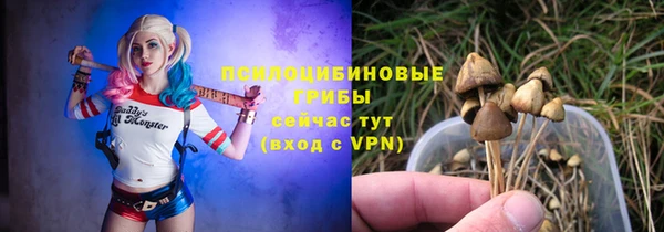 прущие крисы Алзамай